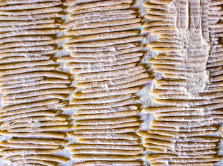 top view of homemade fresh uncooked Italian pasta macaroni with flour, top view. Food texture, background