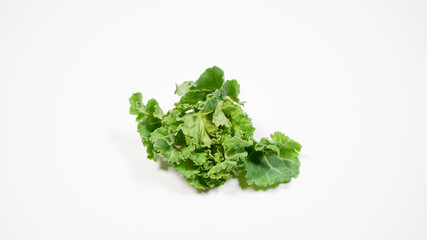 新鮮なプチヴェール