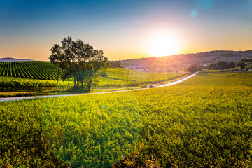 Sunset on the hills of Umbria (Italy), cultivated with vineyards.