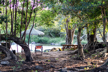 Obraz premium The seat in the middle of the forest is calm and cool.