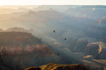 BIG COLORADO CANYON USA