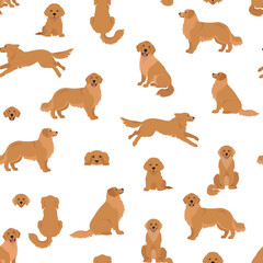 Obraz premium Golden retriever dogs in different poses and coat colors. Seamless pattern. Adult goldies and puppy set