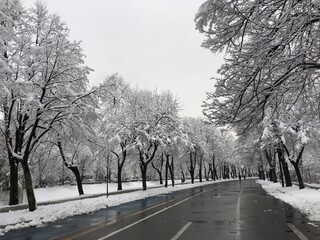 Vilsonovo šetalište in Sarajevo covered with snow.