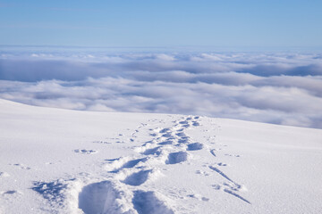 Fototapeta na wymiar Foot steps through deep snow above the fog in a beautiful winter landscape 