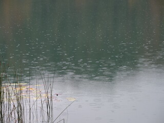 Regentropfen auf der Oberfläche eines Sees