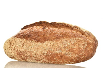 One loaf of aromatic buckwheat bread, close-up, isolated on white.