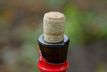 part of a glass bottle with wine closed with a brown cork stopper on a colored background