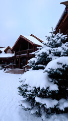 House in the mountains