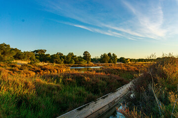 Sunset rural farm and salt lake meadow horizon view