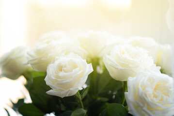 bouquet of white roses on a windowsill with bright sunlight in the background