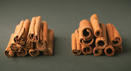 True cinnamon or Ceylon cinnamon sticks versus simple cinnamon spice sticks. Cinnamon sticks stacked in a pile on the dark green background