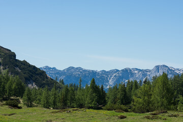 wonderful nature with trees and mountains in the distance