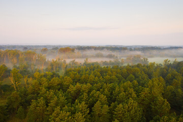 Riparian forest with fog among green trees and meadows at sunrise. Summer nature scenery of a woodland from aerial perspective. Vivid wilderness from above.