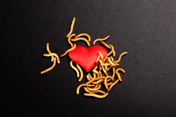Heart broken background for valentine, rotten by worms metaphor.