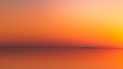 Fototapeta na wymiar sunset, on a pink lake, a bird in the sky, a factory beyond the horizon