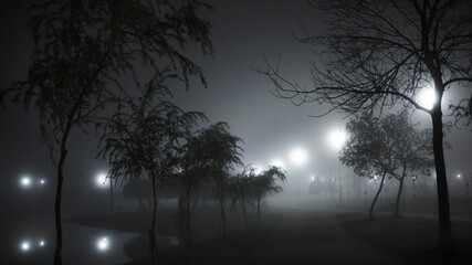 fog in a park.  trees shake in the wind. lanterns shine in the dark