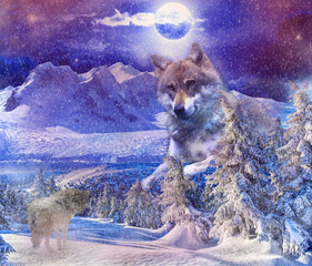 Wolf mountains snow moon
