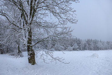 Winterurlaub in der verschneiten Eifel