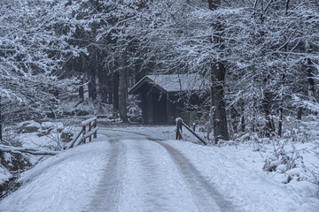 Winterurlaub in der verschneiten Eifel