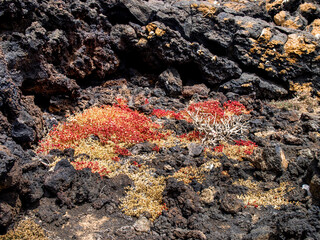 Timanfaya National Park is a national park in the Canary Islands