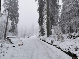 Schnee am Feldberg im Taunus (Lockdown, Verkehrschaos)