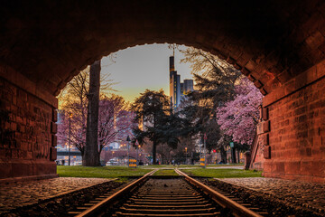 historic railroad track through tunnel with a view of Frankfurt skyscrapers. Main riverbank with park in the evening. Trees with purple flowers and meadow