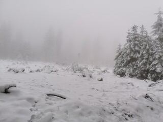 Schnee am Feldberg im Taunus (Lockdown, Verkehrschaos)
