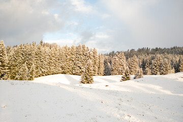 Winter im Allg&auml;u
