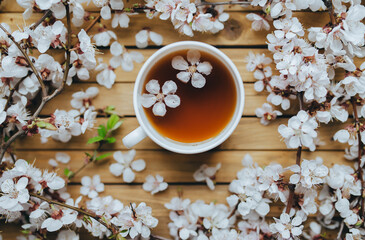 A large white cup with fragrant, flowered black tea tea on a wooden background, decorated with apricot twigs and petals. Concept of breakfast, health, herbal therapy, healthy food.