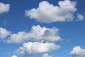 Fototapeta premium Blue sky with white clouds