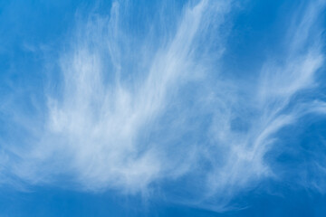 Blue sky with soft feather like cirrus cloud