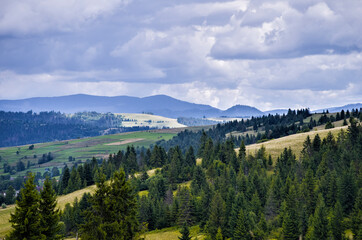 panorama of the Carpathian mountains with trees, hills and clouds