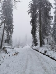 Schnee am Feldberg im Taunus (Lockdown, Verkehrschaos)