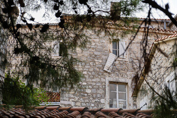 House in old Budva through the pine branches