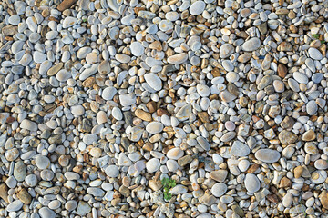 Small beige and grey sea pebbles. Natural stone background or wallpaper picture. Summer holidays and garden design concept. Construction and decoration material. Seaside. Path cover material.