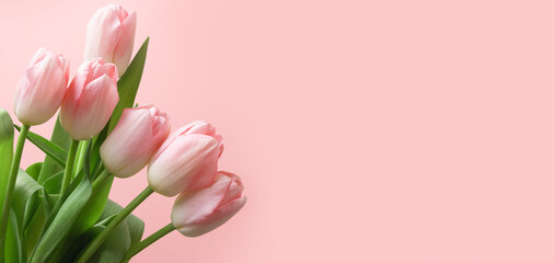 Obraz premium Bouquet of pink tulip on pink background sa banner. Floral pattern. Space for text. Mother day.