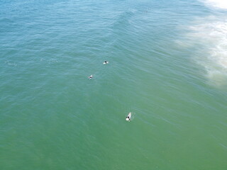 Surfers in the ocean with blue waves.