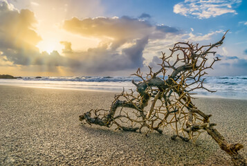 traumhafter Meerestrand zum Sonnenuntergang im Gegenlicht