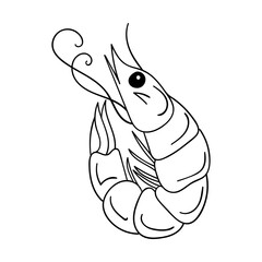 The shrimp is rolled up. Seafood, plankton, krill. Outline sketch food illustration drawn by hand, isolated on a white background. Black white vector. Doodle style