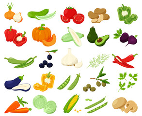 Large set of fresh vegetables, pumpkin, avocado, chili. Whole and half. collection of decorative cliparts for food design, recipes, menus, icons.Flat vector illustration, isolated on white background