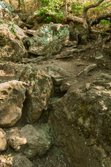 large stone boulders with light spots covered with moss on a steep slope and dry tree branches