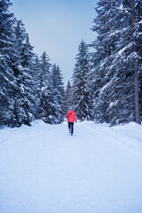 Naklejka na ściany i meble man running in a winter forest