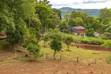 Fototapeta na wymiar Small farm and forest in Morro do Xaxim mountain