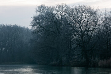 drzewa nad zamarzniętą rzeką