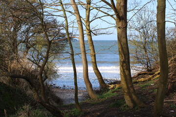 Baltic Sea (Ostsee) in early spring, woods close to the beach at Heiligendamm 