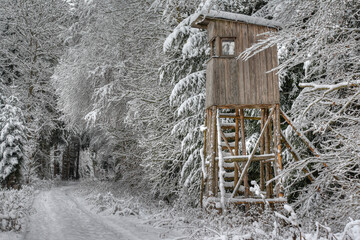 In the snow-covered forest, lonely and abandoned, the hunter's hunting pulpit stands at the edge of...