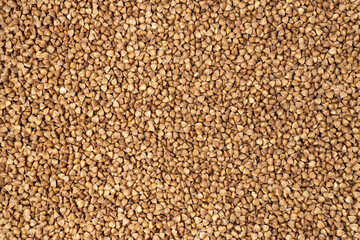Texture background from dry buckwheat groats.