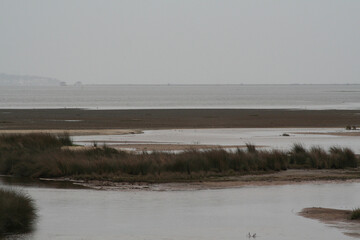 paysage de lagune du bassin d'arcachon