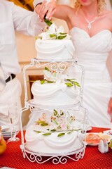 bride and groom cut the wedding cake