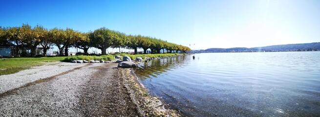 Bodensee Impressionen, Ufer, Strand, Radolfzell, Allensbach, Mettnau, Unter-Uhldingen